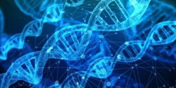 Albero genealogico genetica: che cos’è? Come può essere utile per il piano alimentare?