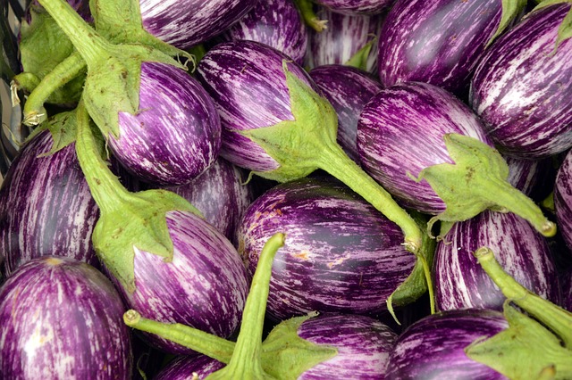 Pasta fredda con melanzane: come si realizza? ricetta e procedura
